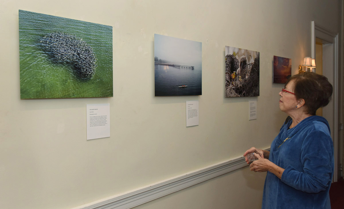 Norwalk Land Trust Preserving Open Space for Norwalk, CT forever